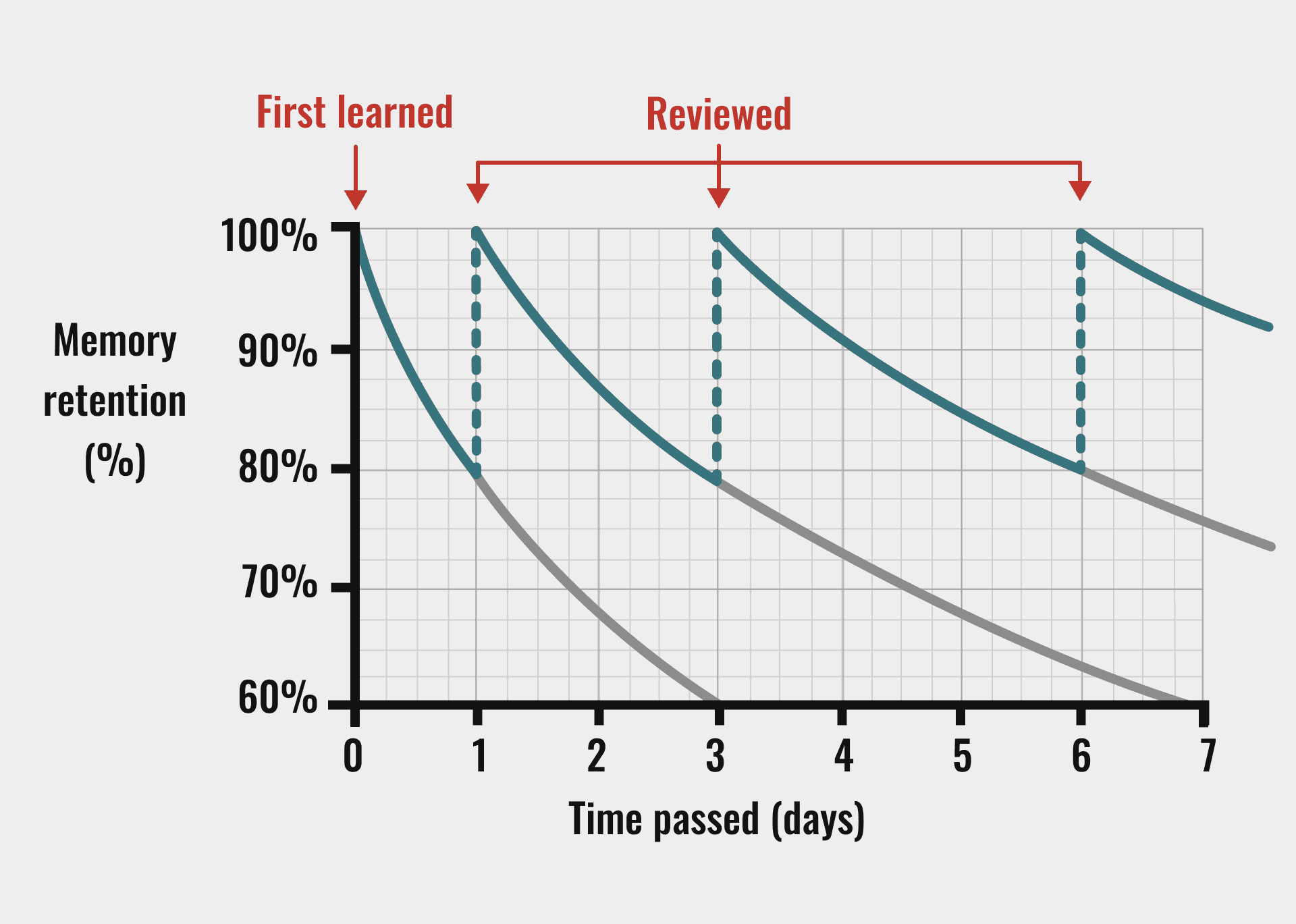 Figure representing spaced repetition
